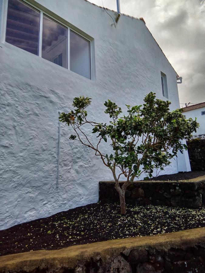 Casa Do Marcelino Lagarto Villa Sao Roque do Pico Bagian luar foto
