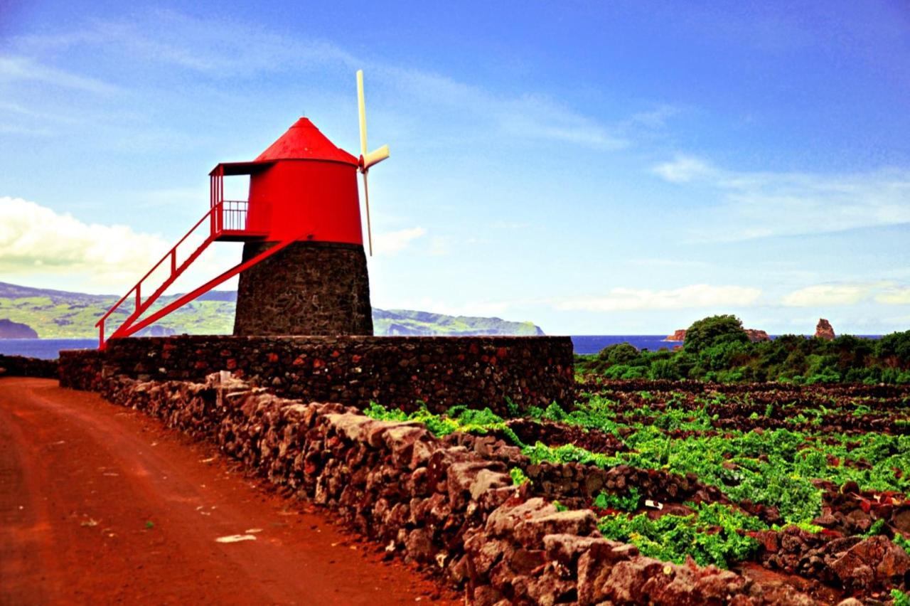 Casa Do Marcelino Lagarto Villa Sao Roque do Pico Bagian luar foto